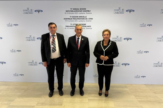 Delegacija PSBiH učestvovala na 71. godišnjem zasjedanju Parlamentarne skupštine NATO-a u Ljubljani